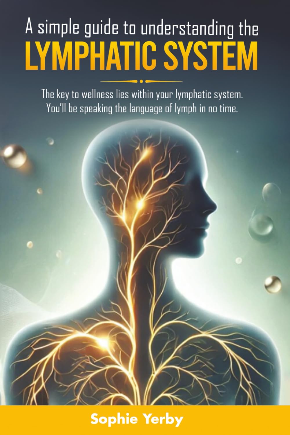 A SIMPLE GUIDE TO UNDERSTANDING THE LYMPHATIC SYSTEM: The key to wellness lies within your lymphatic system