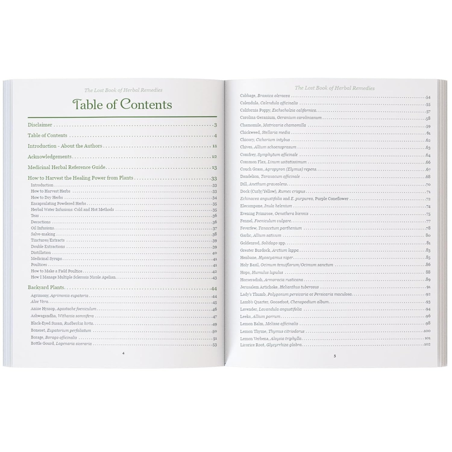 The Lost Book of Herbal Remedies