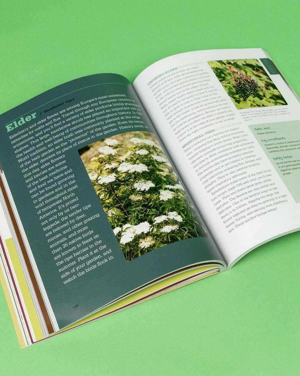 Rosemary Gladstar's Medicinal Herbs: A Beginner's Guide: 33 Healing Herbs to Know, Grow, and Use