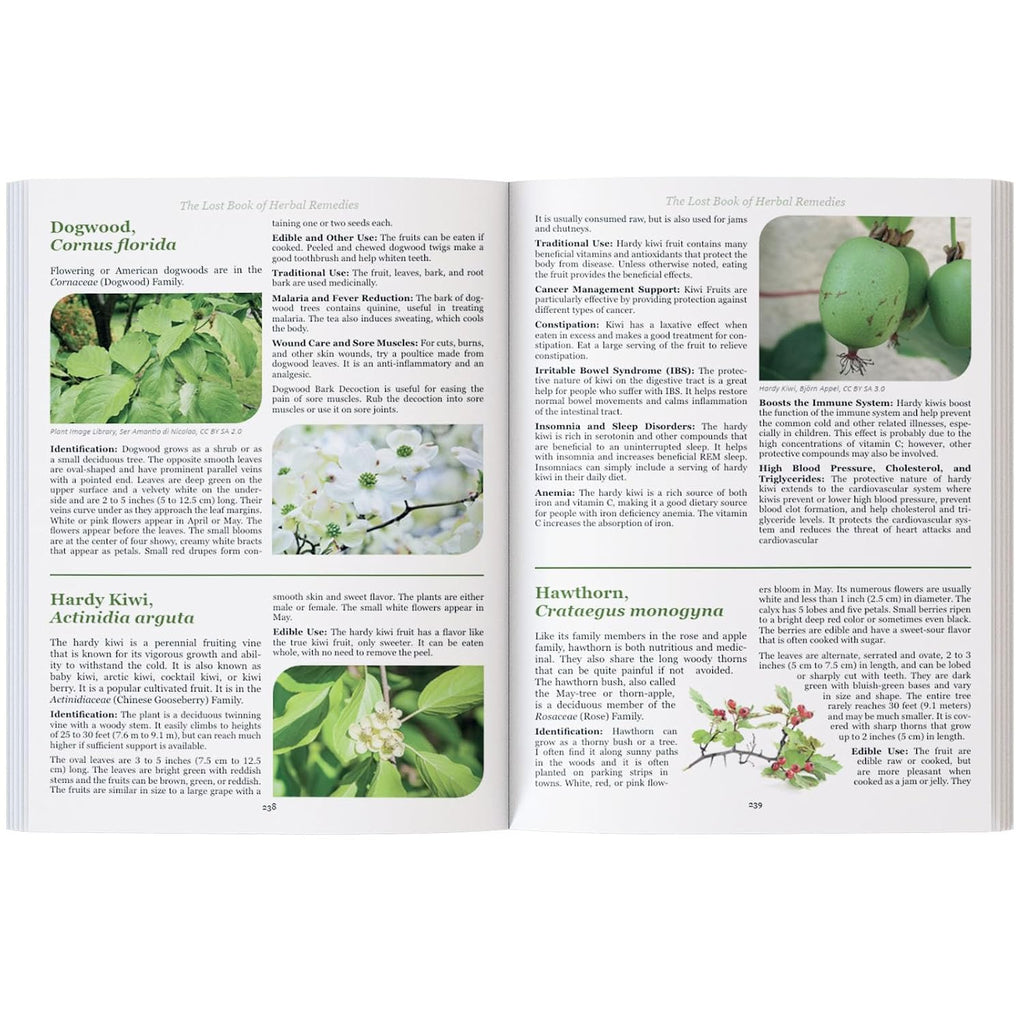 The Lost Book of Herbal Remedies