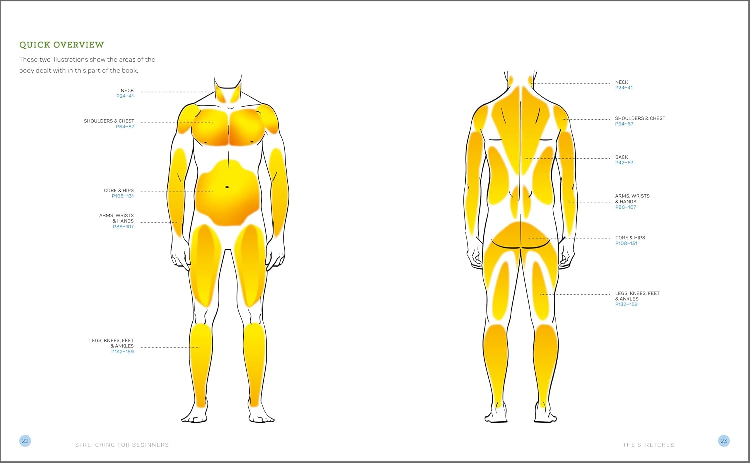 Stretching for Beginners: Improve Flexibility and Relieve Aches and Pains with 100 Exercises and 25 Simple Routines