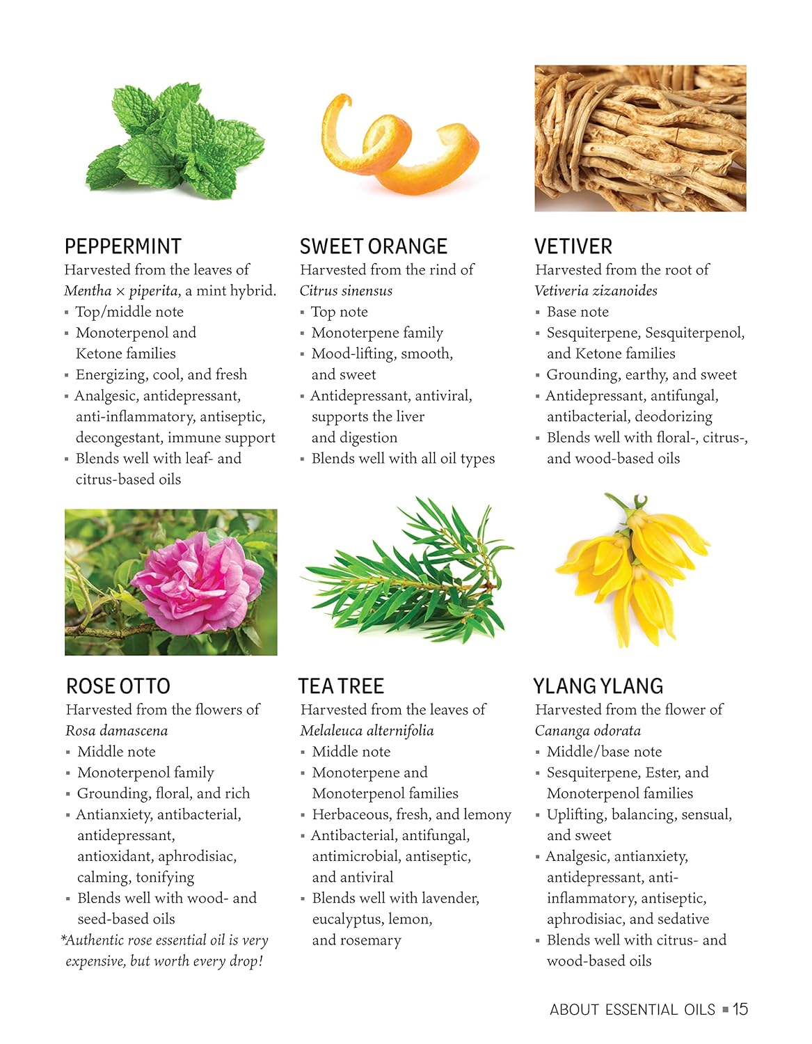 Essential Oil Recipes for Home and Body Care: 100+ Organic Products to Help You Feel Better (Fox Chapel Publishing) Make Your Own Skin Care, Soap, Lip Balm, Lotion, Aromatherapy Blends, and More