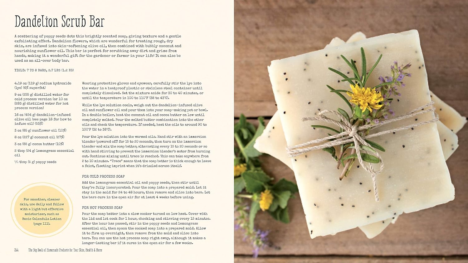 The Big Book of Homemade Products for Your Skin, Health and Home: Easy, All-Natural DIY Projects Using Herbs, Flowers and Other Plants