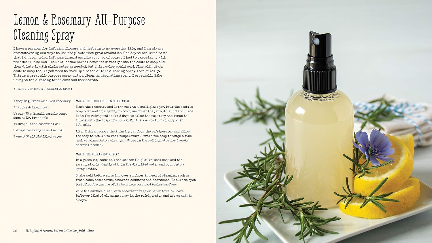 The Big Book of Homemade Products for Your Skin, Health and Home: Easy, All-Natural DIY Projects Using Herbs, Flowers and Other Plants