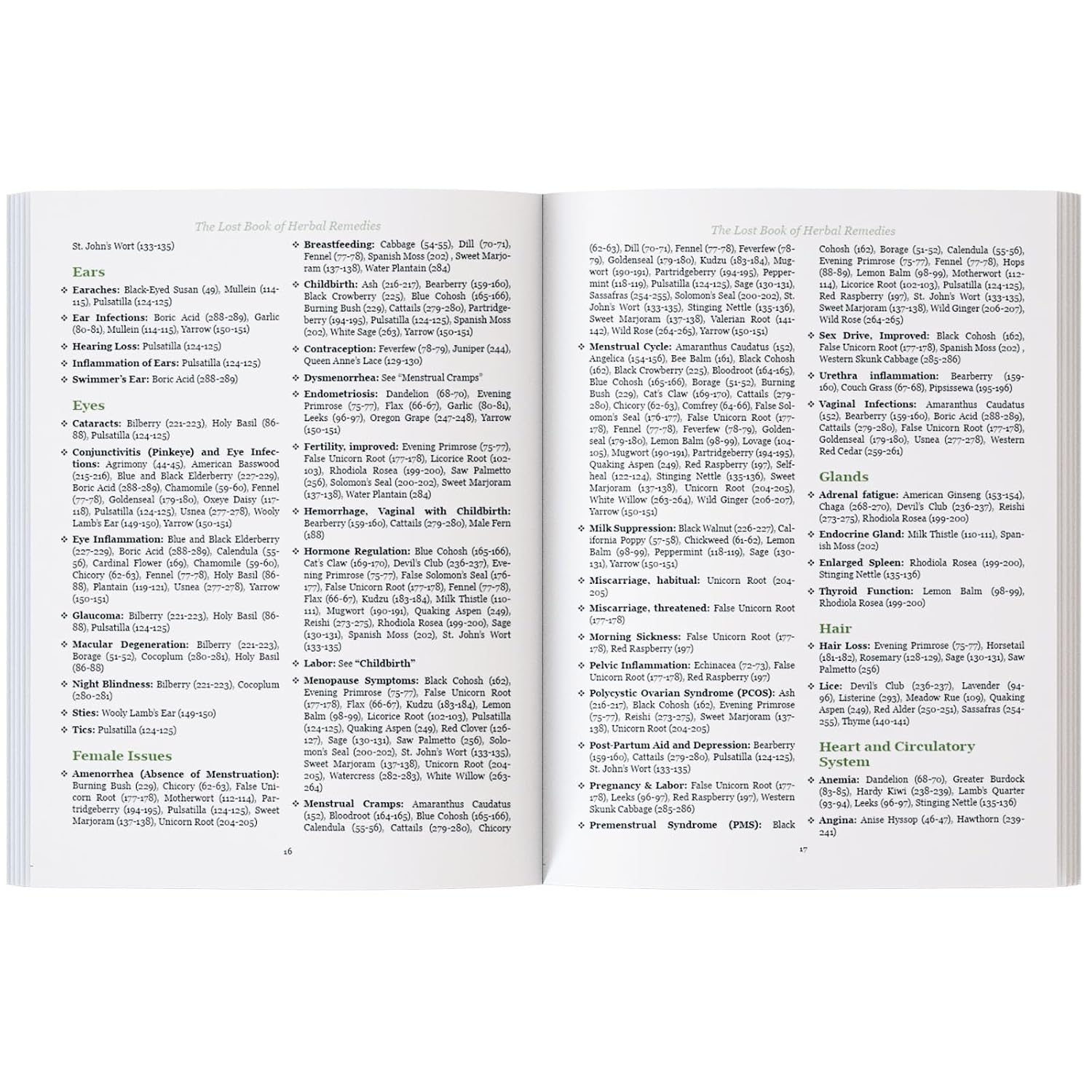 The Lost Book of Herbal Remedies