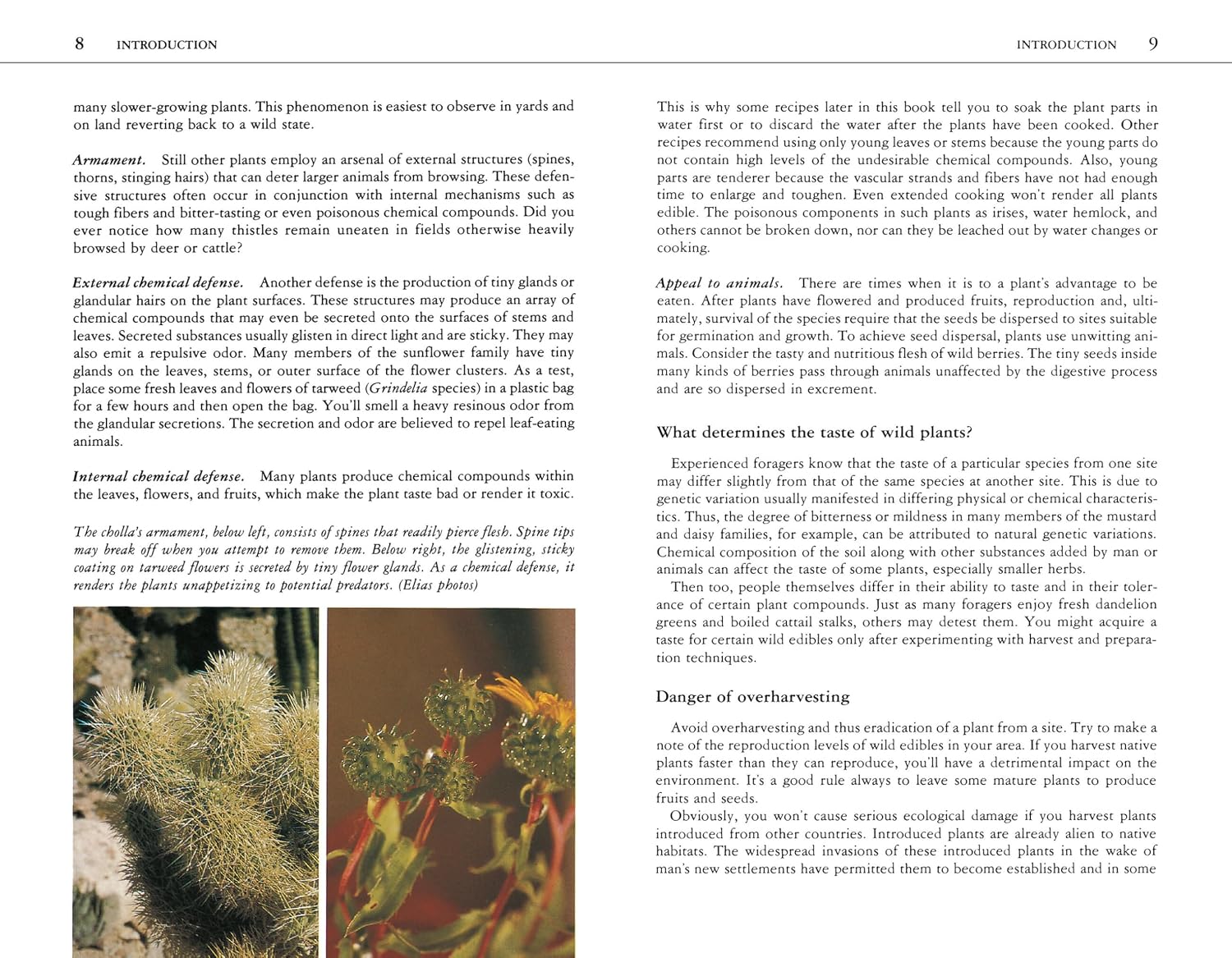 Edible Wild Plants: A North American Field Guide to Over 200 Natural Foods