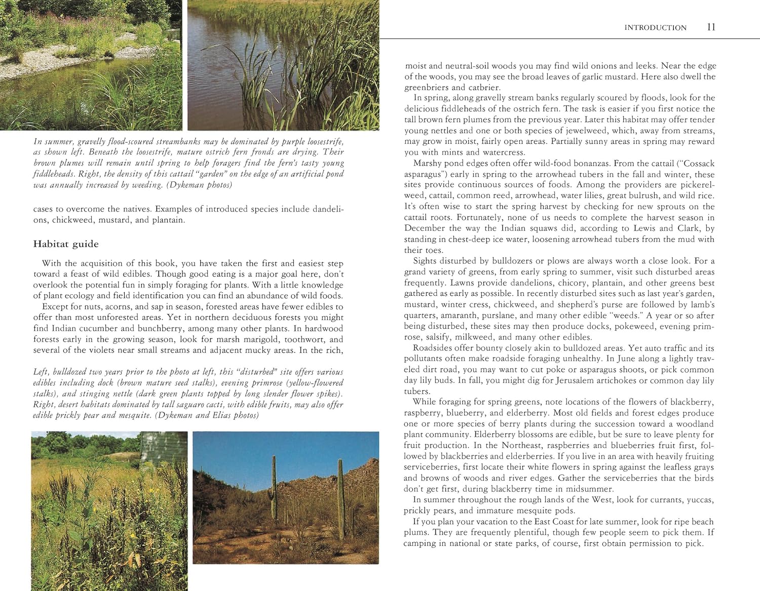 Edible Wild Plants: A North American Field Guide to Over 200 Natural Foods